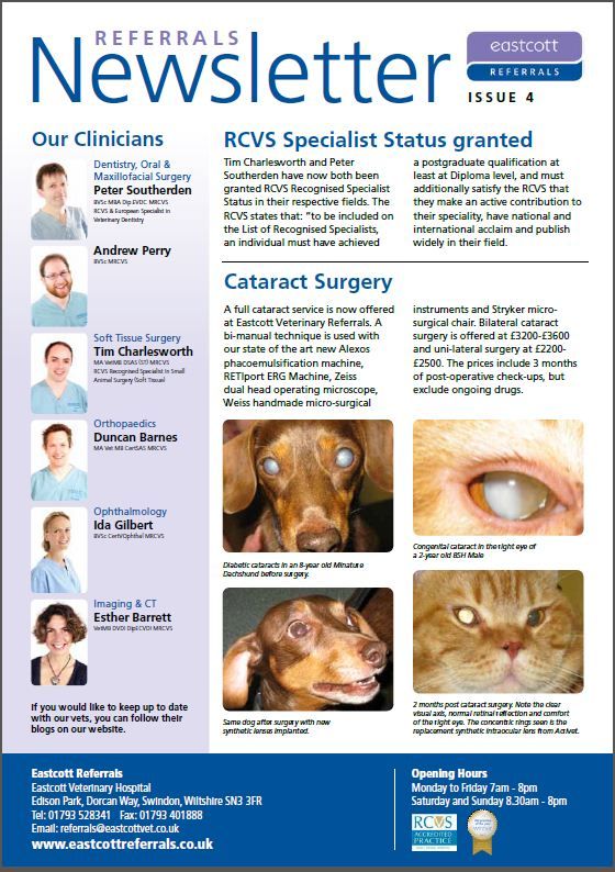 Eastcott Referrals Newsletter