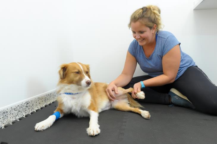 Alys Cooper Physiotherapist at Eastcott Referrals