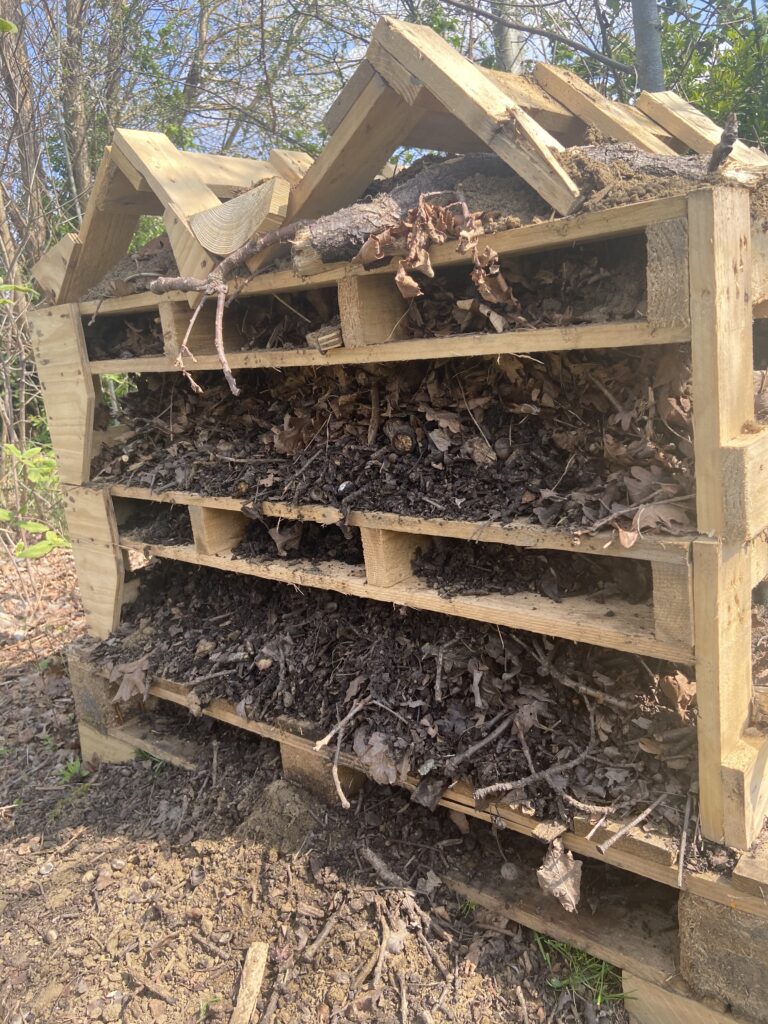 Insect Hotel at Eastcott Referral Hospital in Swindon