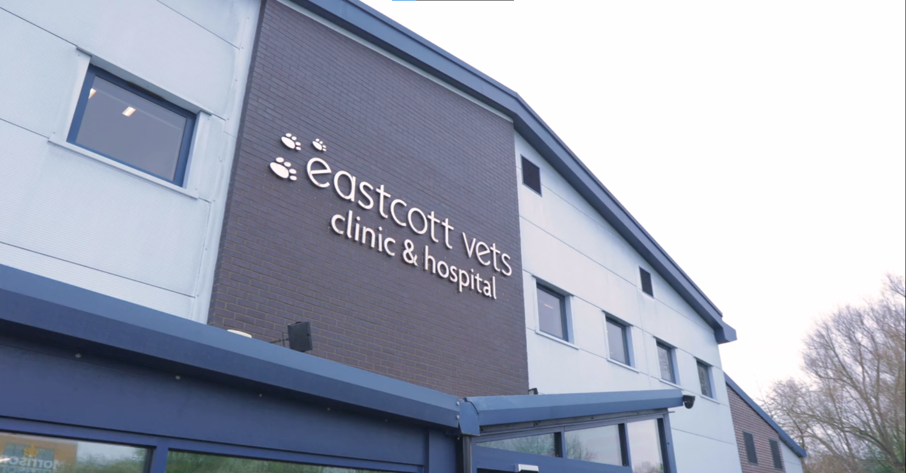 Vet Clinic Alameda East Vet Alameda East Vet Clinic Best Sale