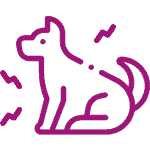 icon-services-pain-managment