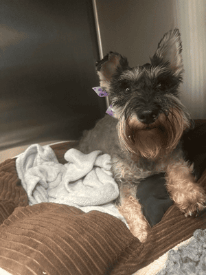 Suzie sitting in bed