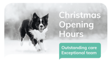 Christmas opening hours sign