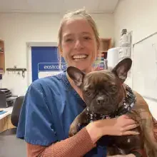 a small brown dog being held by a female wearing scrubs